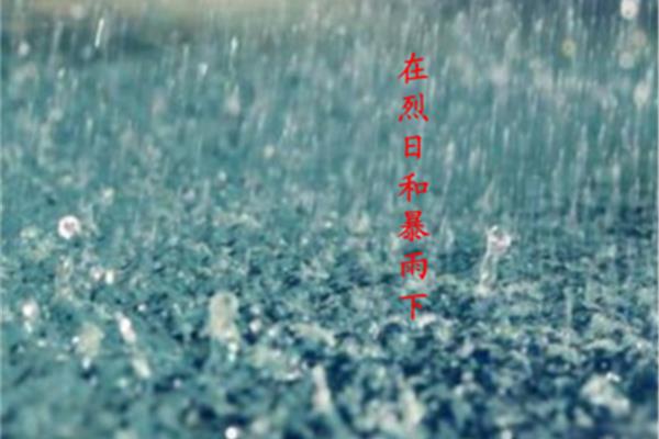 在烈日和暴雨下