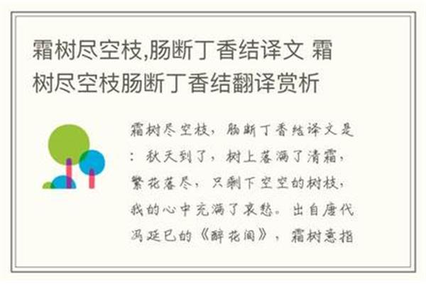 肠断丁香结