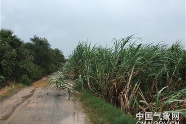 海南气象网