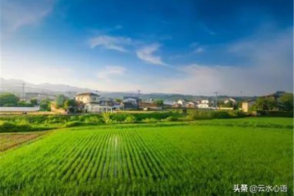 方宅十余亩