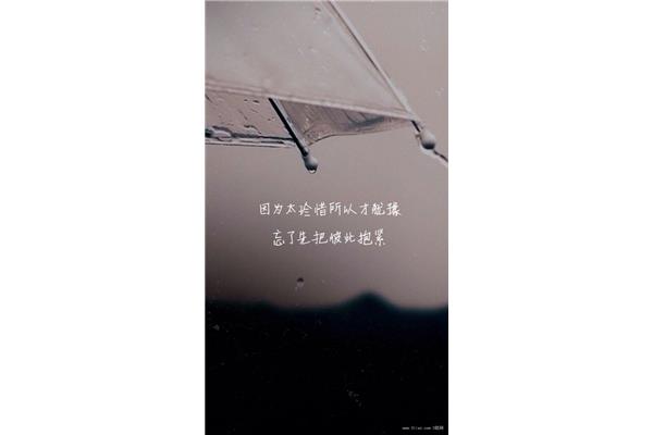 不什么所什么
