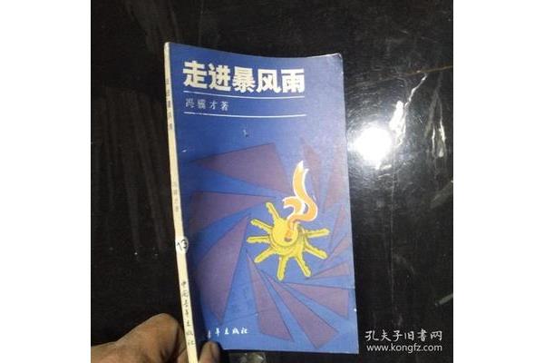 走进暴风雨