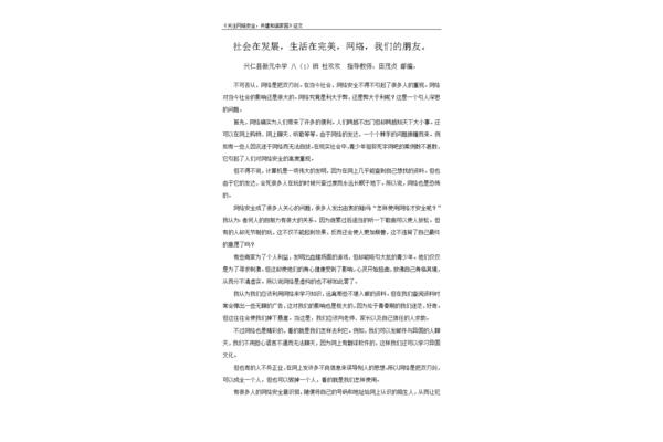 关于网络的作文