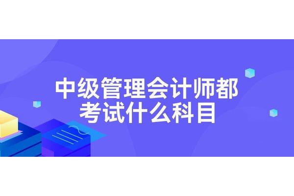 管理会计考试科目