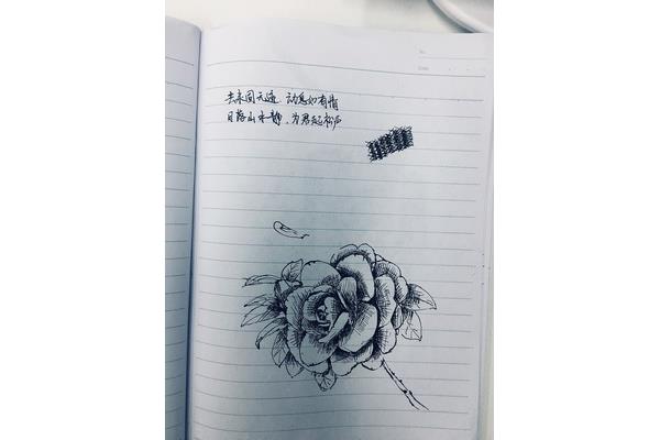 信笔涂鸦的意思