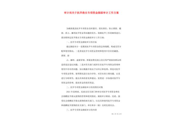 专项资金审计