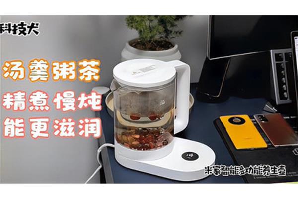 养生壶怎么用