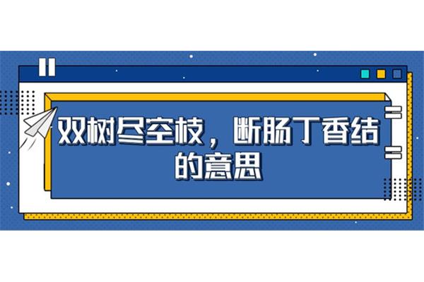 肠断丁香结