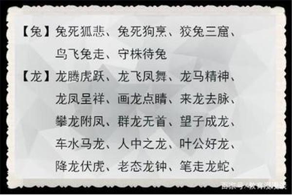 含有兔子的成语