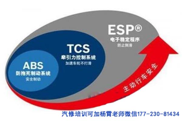 tcs是什么
