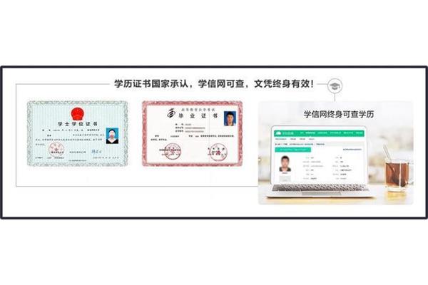 学位证怎么查