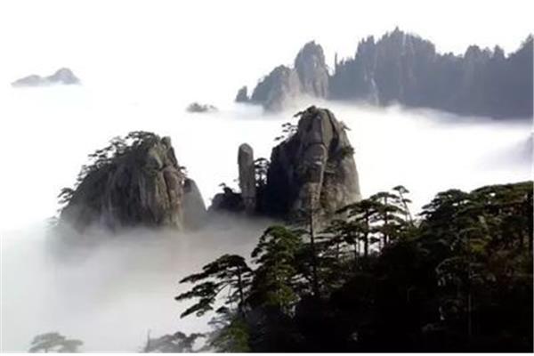 黄山游后感精华句