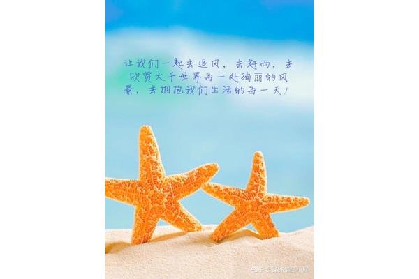 快乐的心态句子
