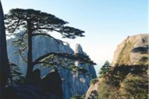黄山游后感精华句