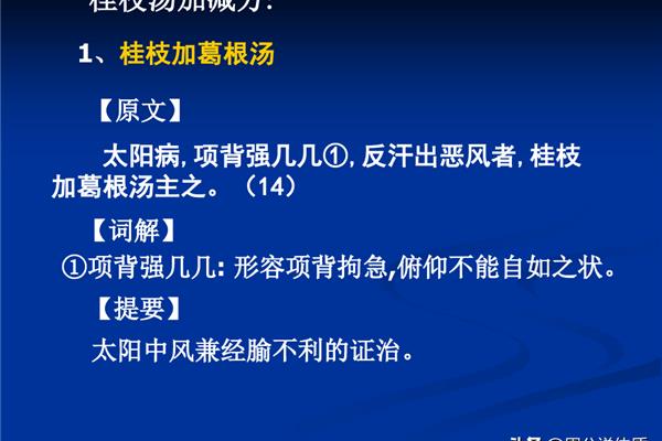 桂枝汤加减方
