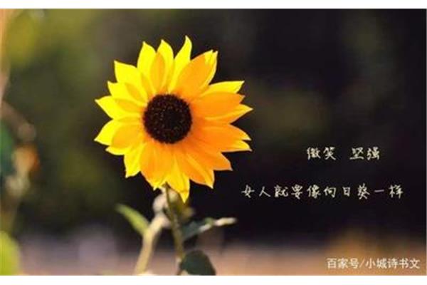 快乐的心态句子