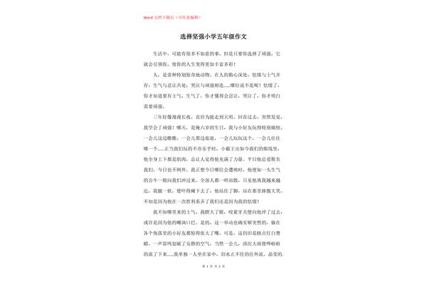 选择作文600字