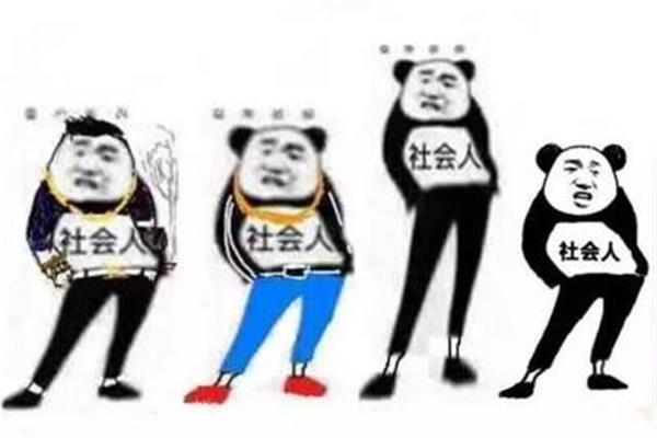 社会的意思