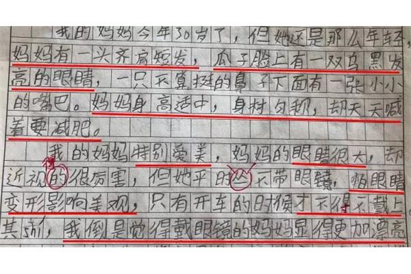 我的妈妈的作文
