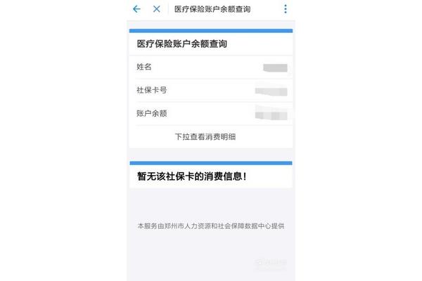厦门医社保查询