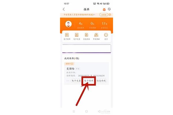 强制险查询