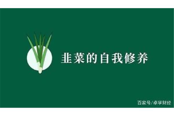 韭菜的自我修养