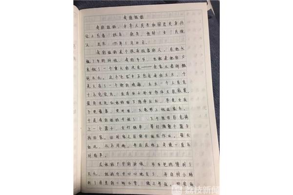我的妈妈的作文