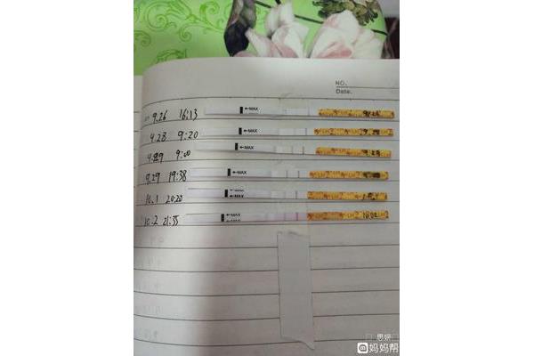 测卵泡的最佳时间