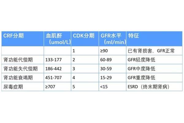 儿童肌酐正常值
