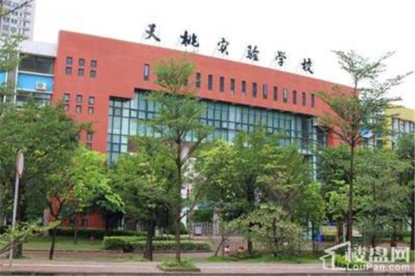 天桃实验学校