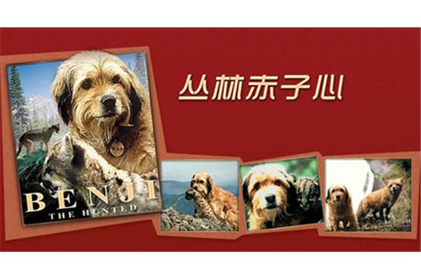 丛林赤子心