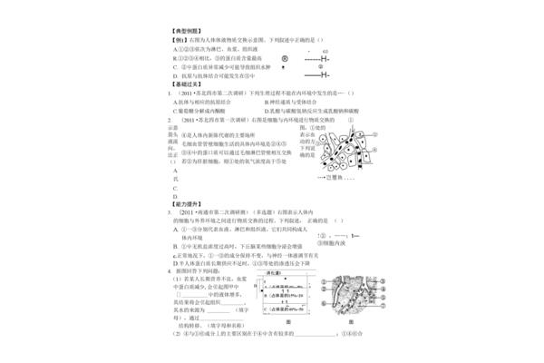 稳态的意义