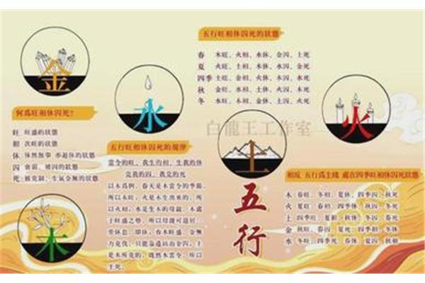 脾的四大功能