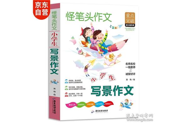 小学作文辅导课