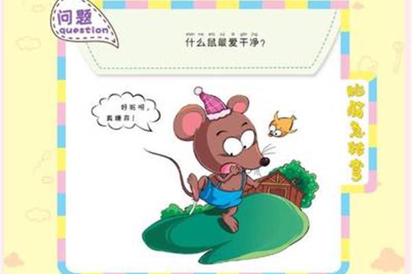 什么鼠最爱干净