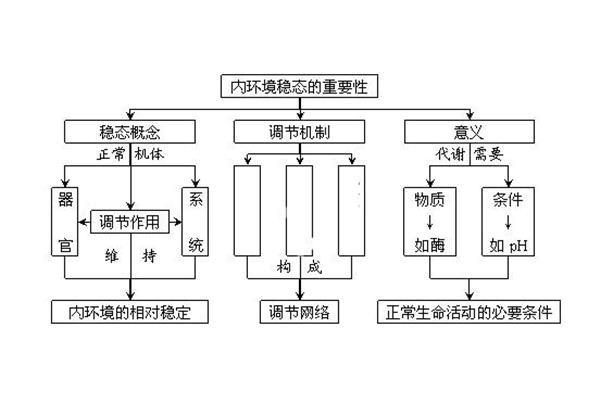 稳态的意义