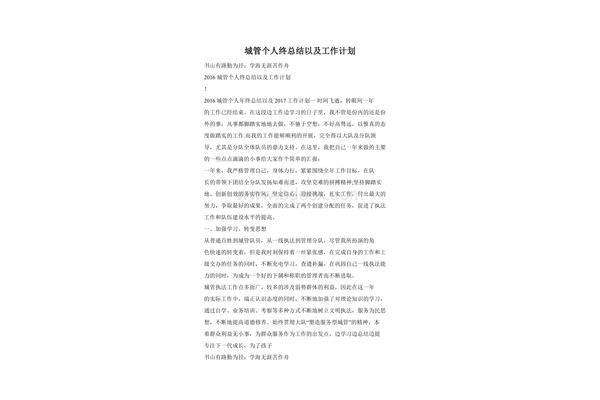 城管工作个人总结