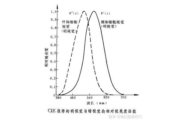 明适应和暗适应