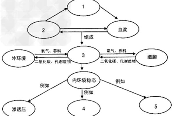 稳态的意义