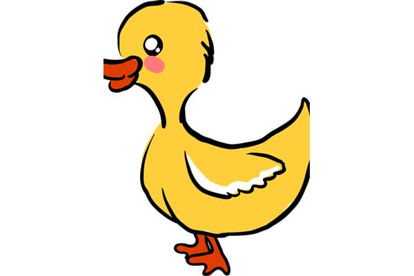 可爱的小鸭子