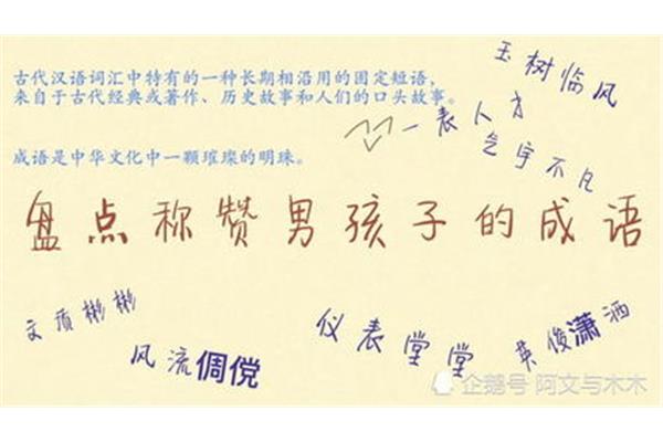 夸男人的成语