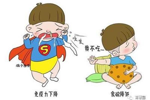 吃出免疫力