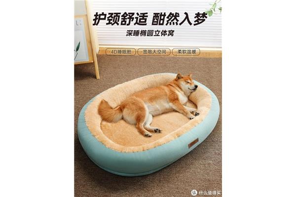 什么然入梦