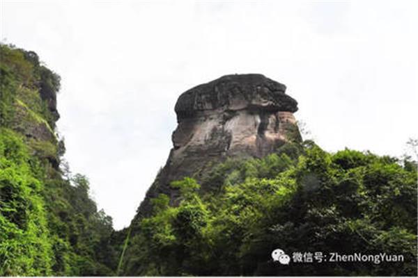 涧是什么意思