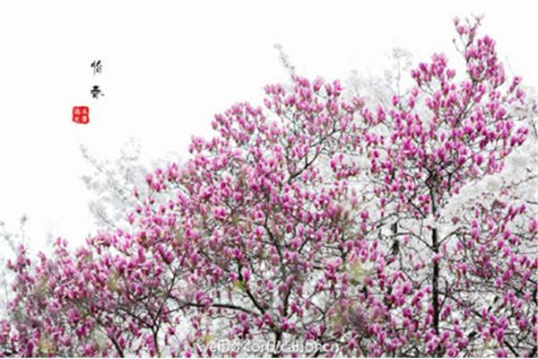花开不只在春天