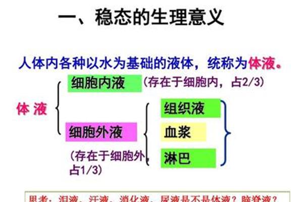 稳态的意义