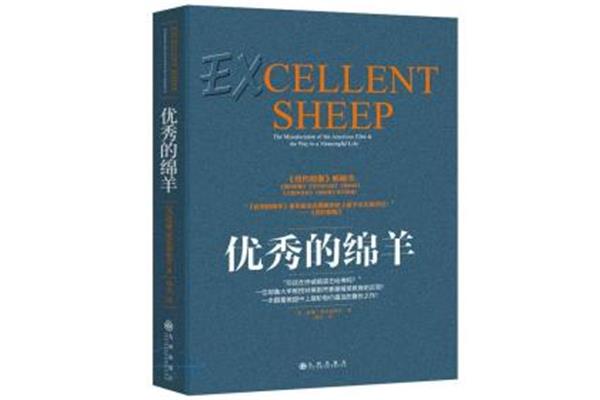 优秀的绵羊