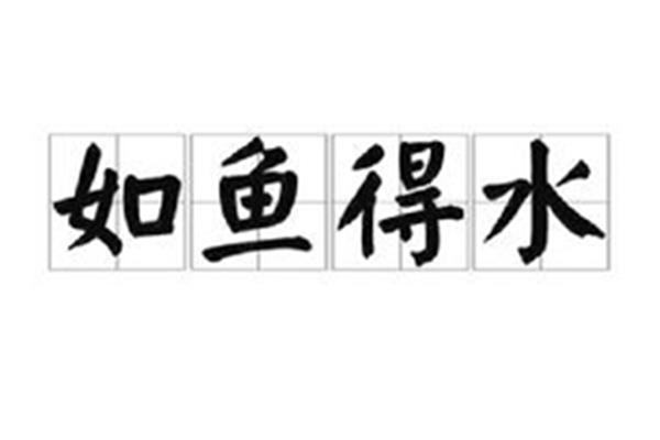 如鱼得水的近义词