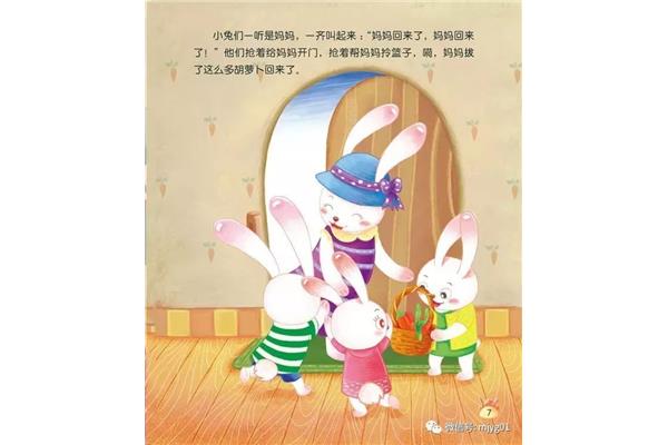 小兔的故事