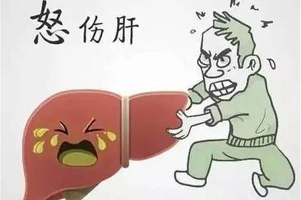 生气伤什么器官